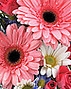 Mother's Day May 12th