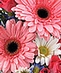 Mother's Day May 13th