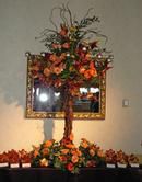 Candelabra Tree