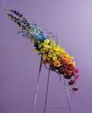 Rainbow Spray