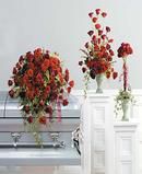 Red Roses