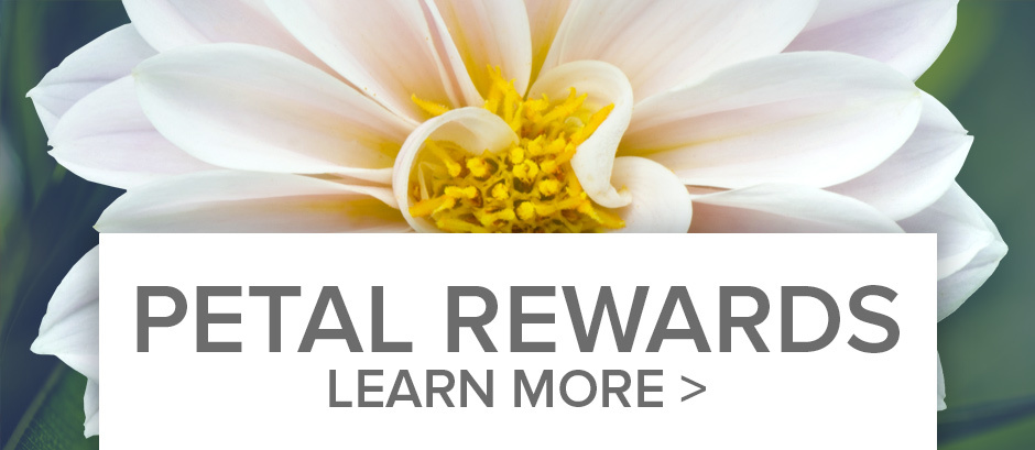 Petal Points Loyalty Rewards