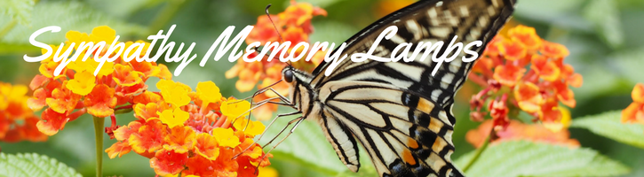 Sympathy Memory Lamps