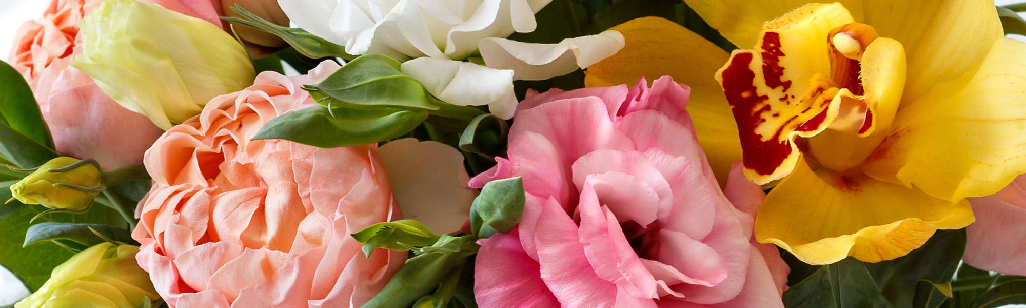 Springfield MA Florist Flower Delivery Springfield by Durocher's Florist