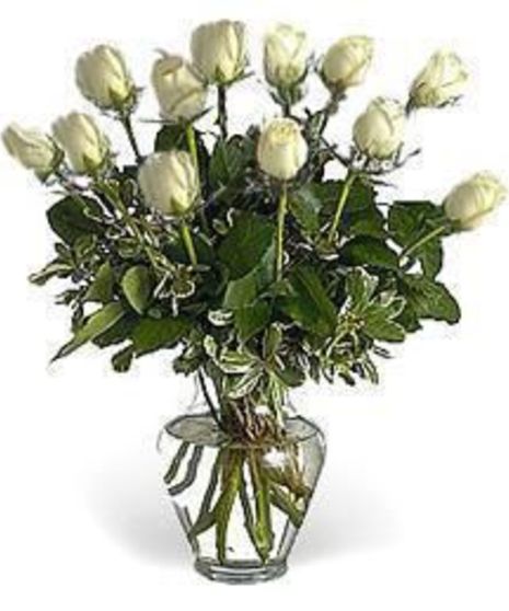 Elegant White Roses