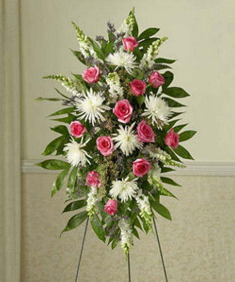 Pink Rose Tribute