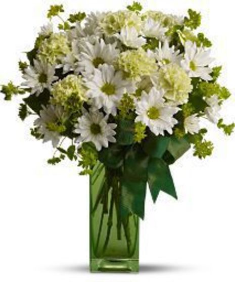 St. Patrick's Daisies - Erin Go Bragh!