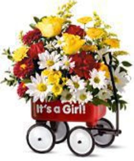 Baby's First Wagon Baby Girl