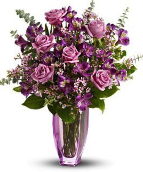 Dreaming of Roses