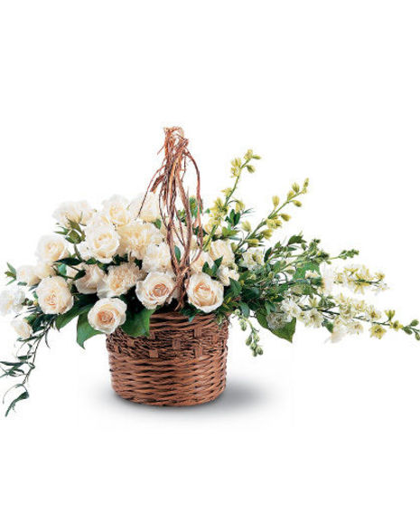 Basket of Light