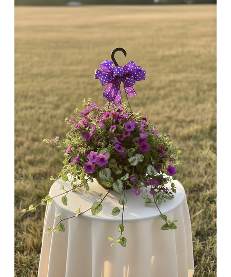 Annual Combo Hanging Basket - Colors/Plants Will Vary