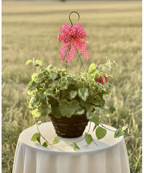 Hanging Geranium Rattan Basket