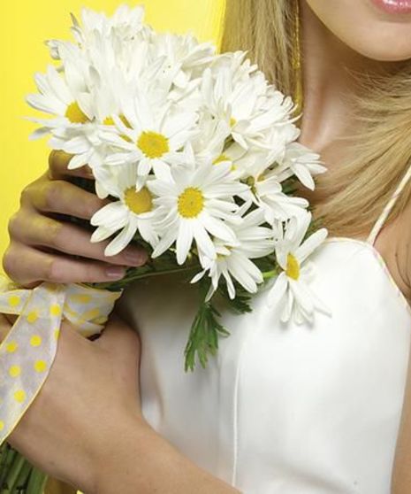 A hand tied bouquet of white daisies.