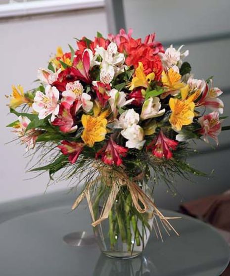 Blooming Lilies