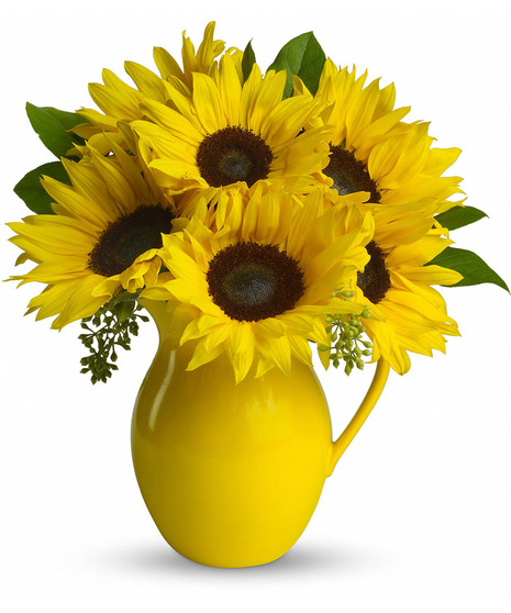 Sunny Day Pitcher of Sunflowers