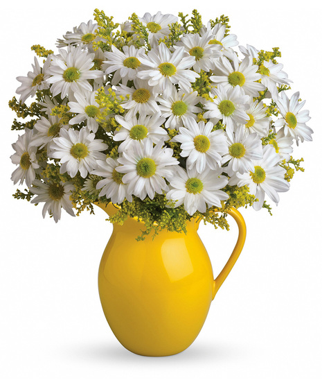 Sunny Day Pitcher of Daisies
