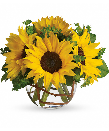 Sassy Sunflowers