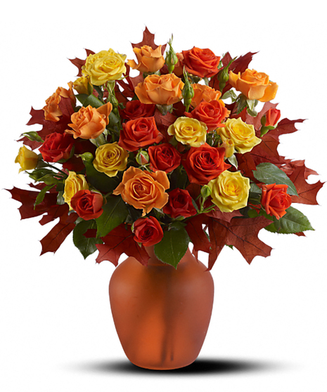 Amber Roses