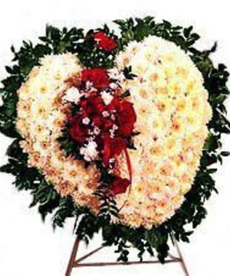 Solid Heart