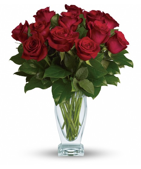 Short Stem Roses Arranged