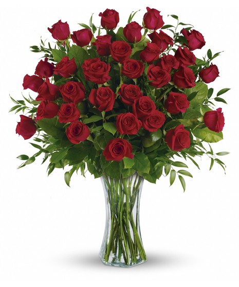 Breathtaking Beauty- 3 dozen roses
