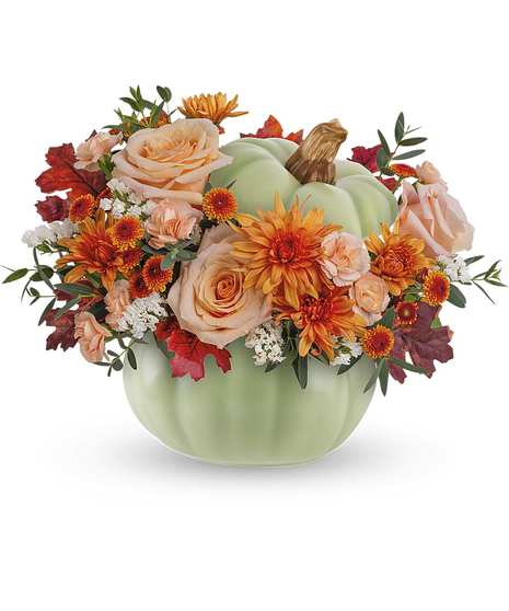 Harvest Magic Sage Pumpkin