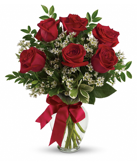6 Roses Vased