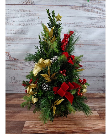 Boxwood Tree