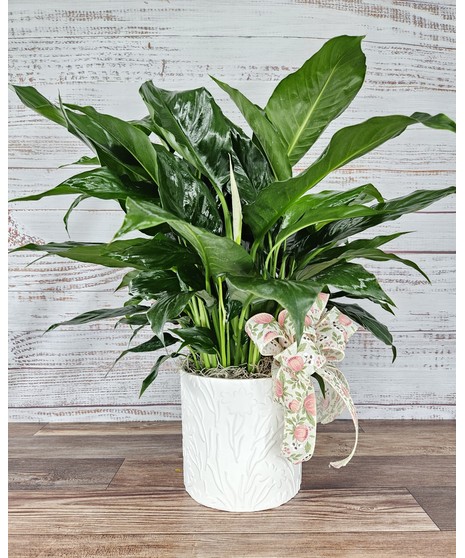 Tranquil Peace Lily- Ceramic
