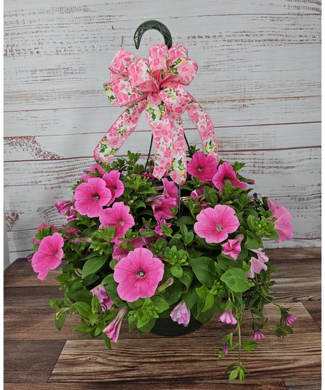 Hanging Plant-  Annual
