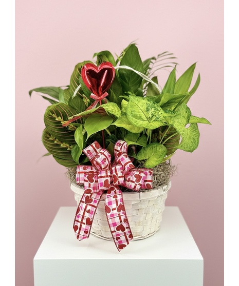 Love Is Growing Dish Garden