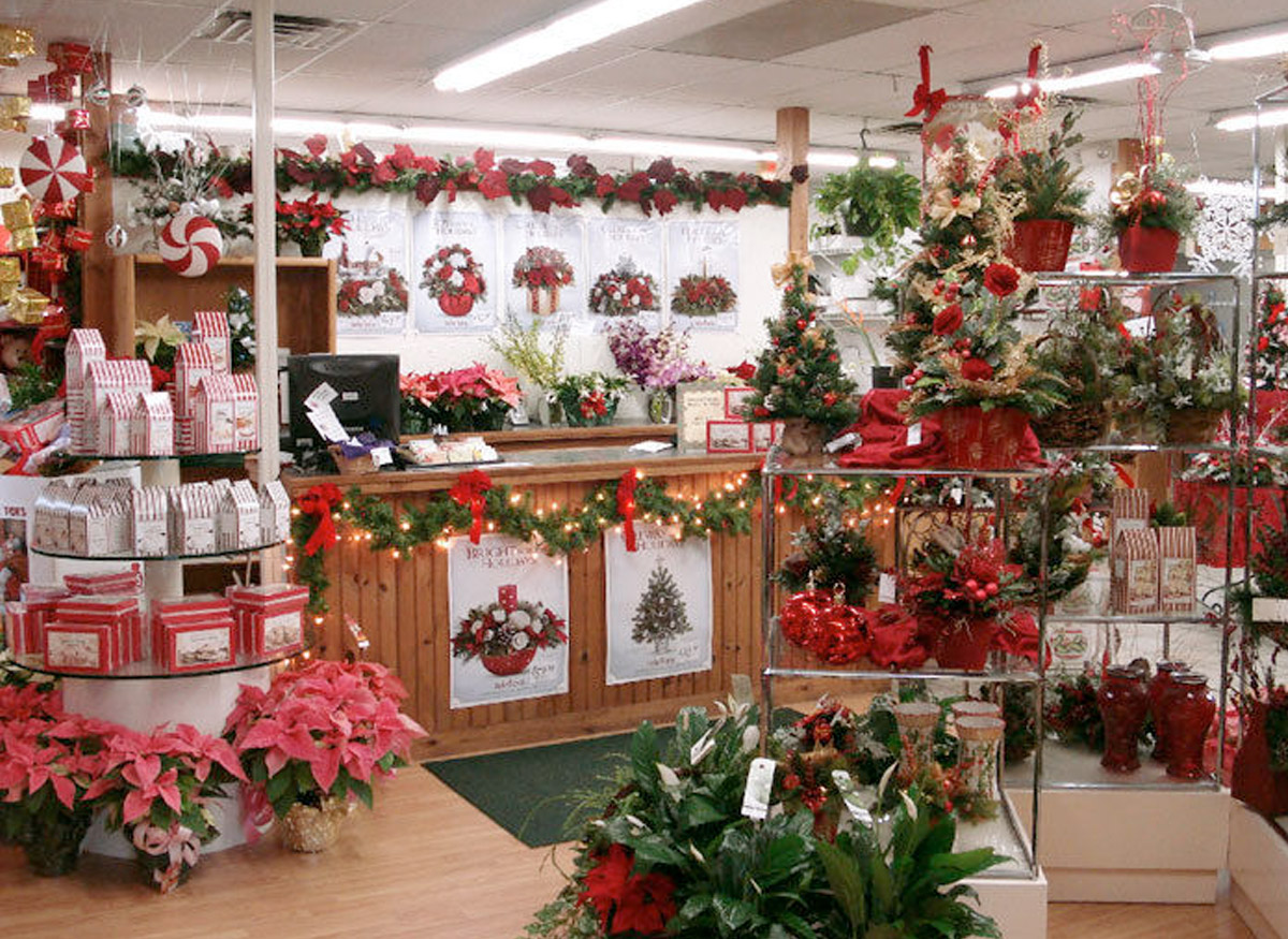 Poinsettias, holly and red ribbons enliven our storefront at Christmastime