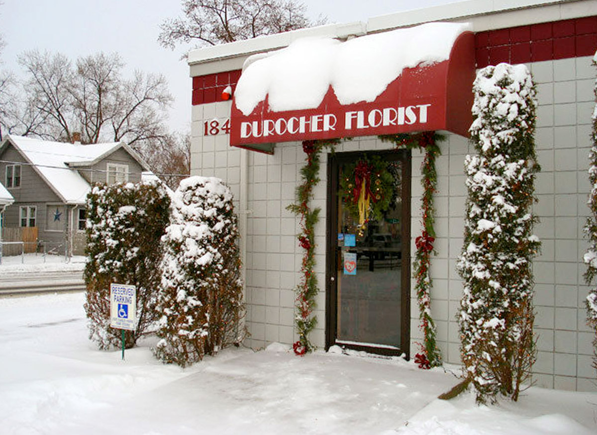 Winter in Springfield; our friendly awning peers through a dense layer of snow